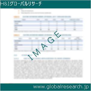 グローバルリサーチ調査レポートのイメージ